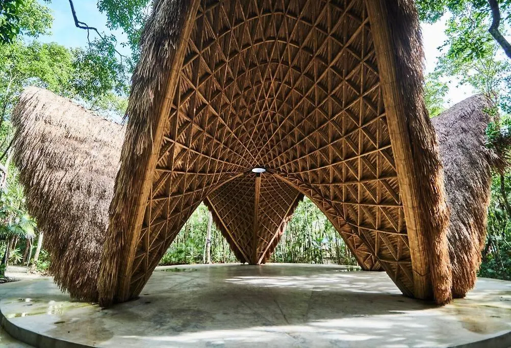 Tribu 306 Boho Design Gem In The Heart Of Tulum W/ Rooftop